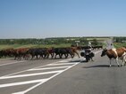 Foto Ukrajina